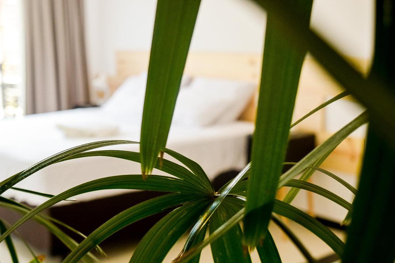 Innsenso B&B Natal Zewnętrze zdjęcie
